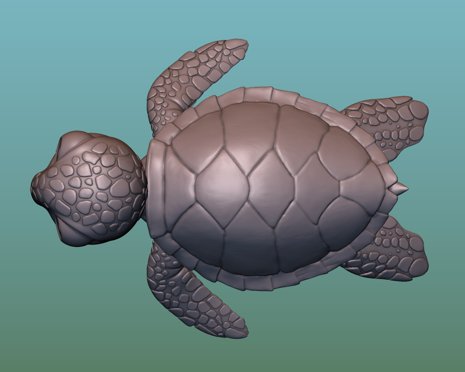 Cartoon sea turtle (Fan Art) .