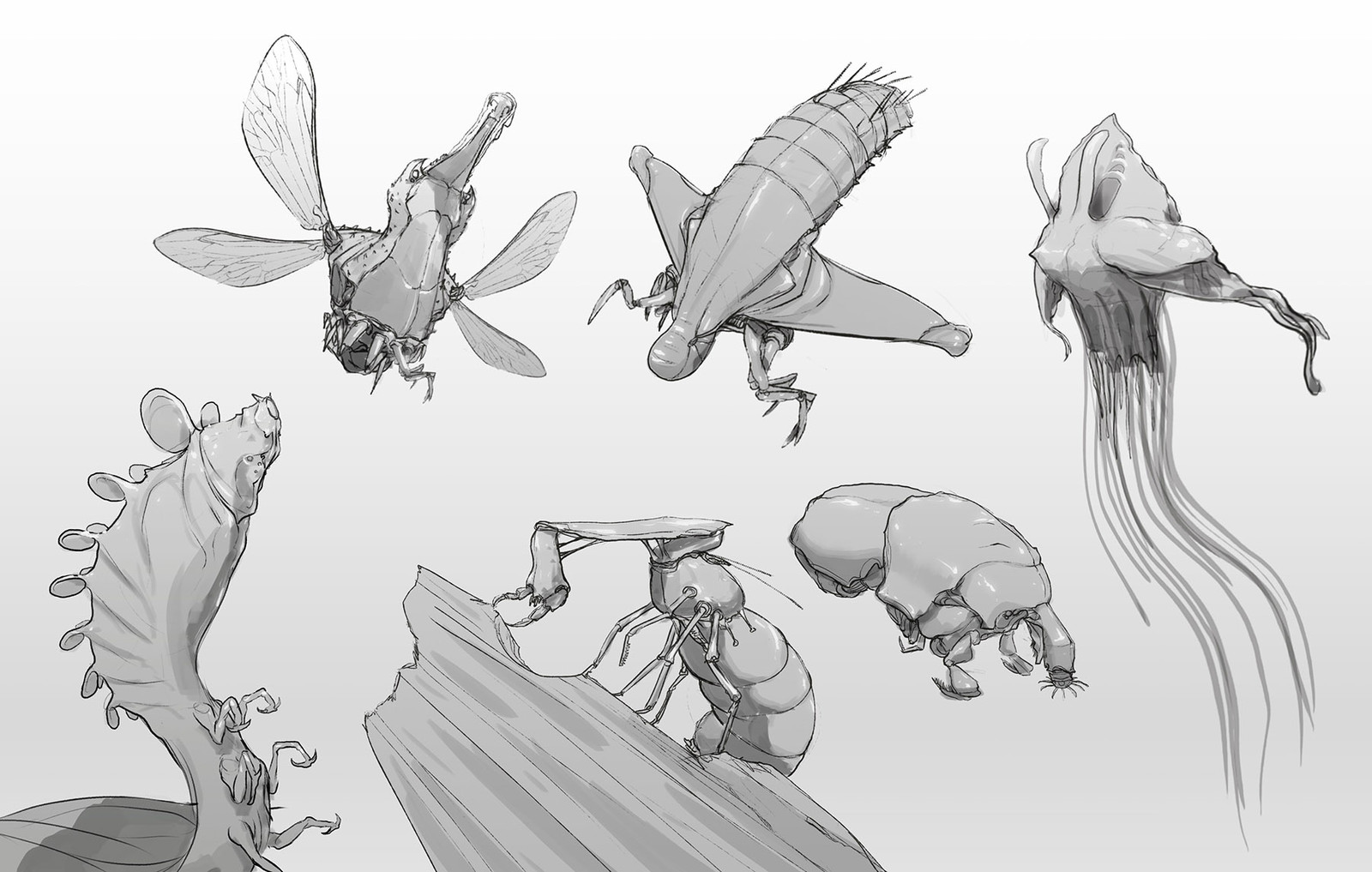 bugs doodles