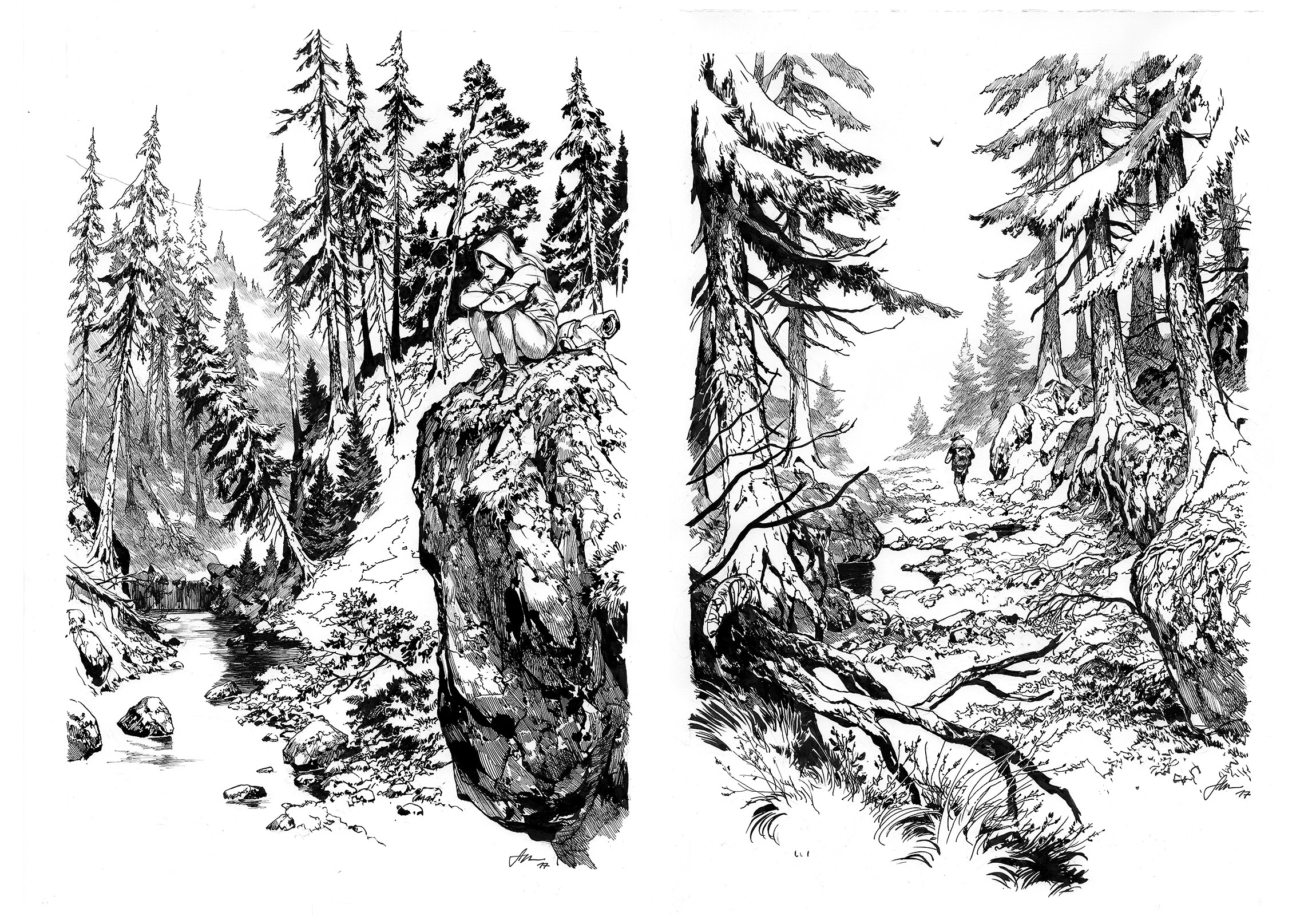 FOREST/ROAD