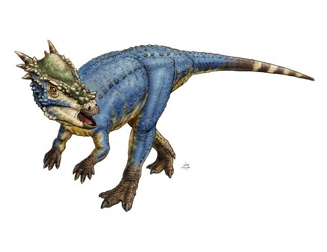 Dino art for marketing, signage, and model color guide.