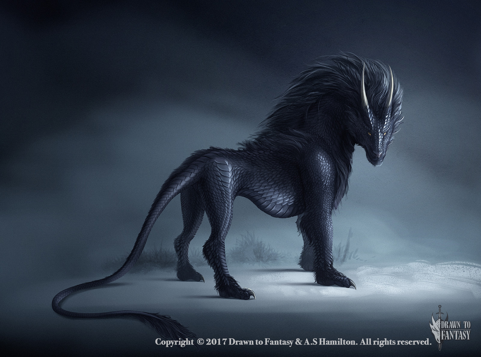 Baschia - Dragon Hybrid
