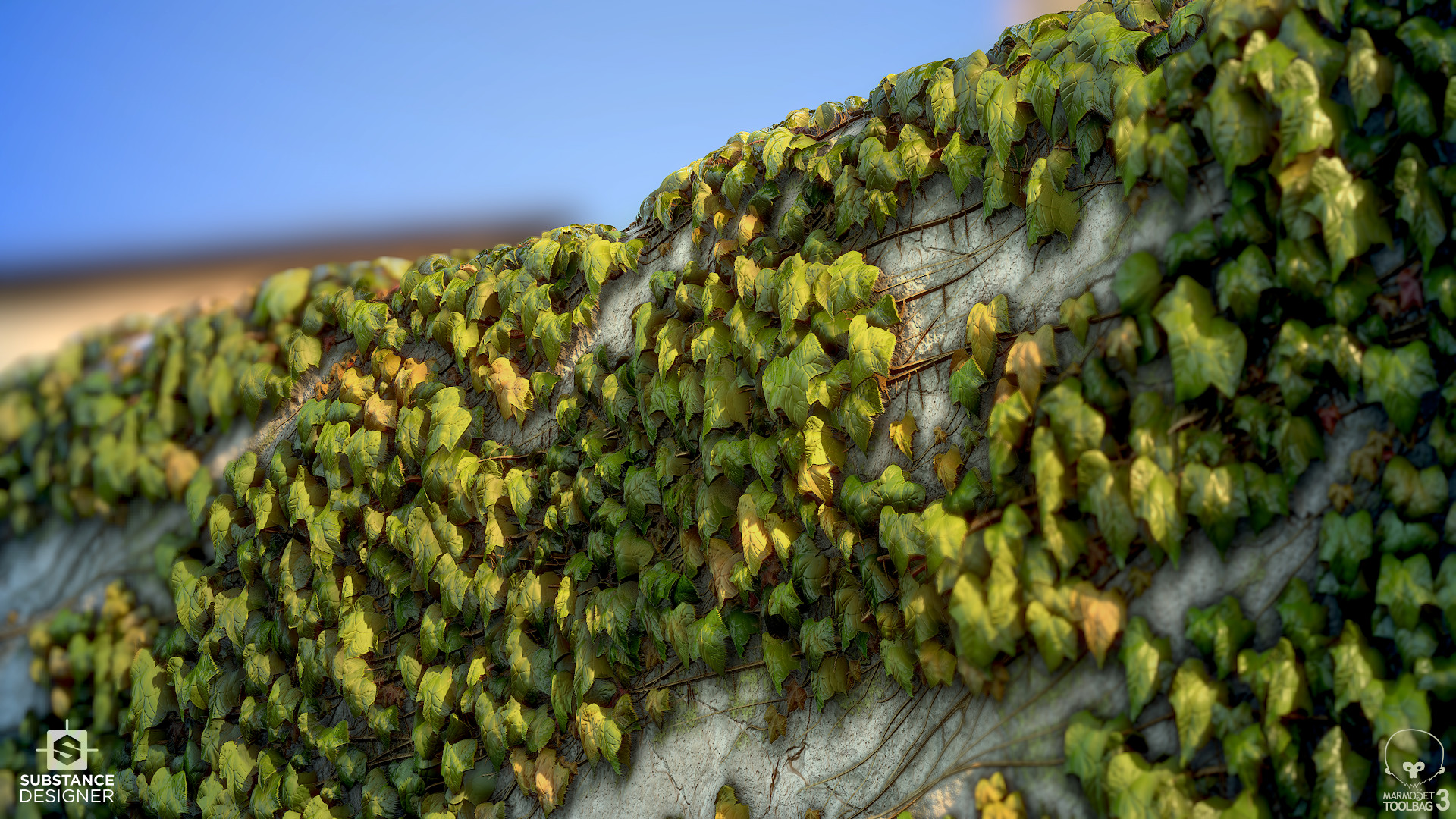 Daniel Thiger - Ivy wall