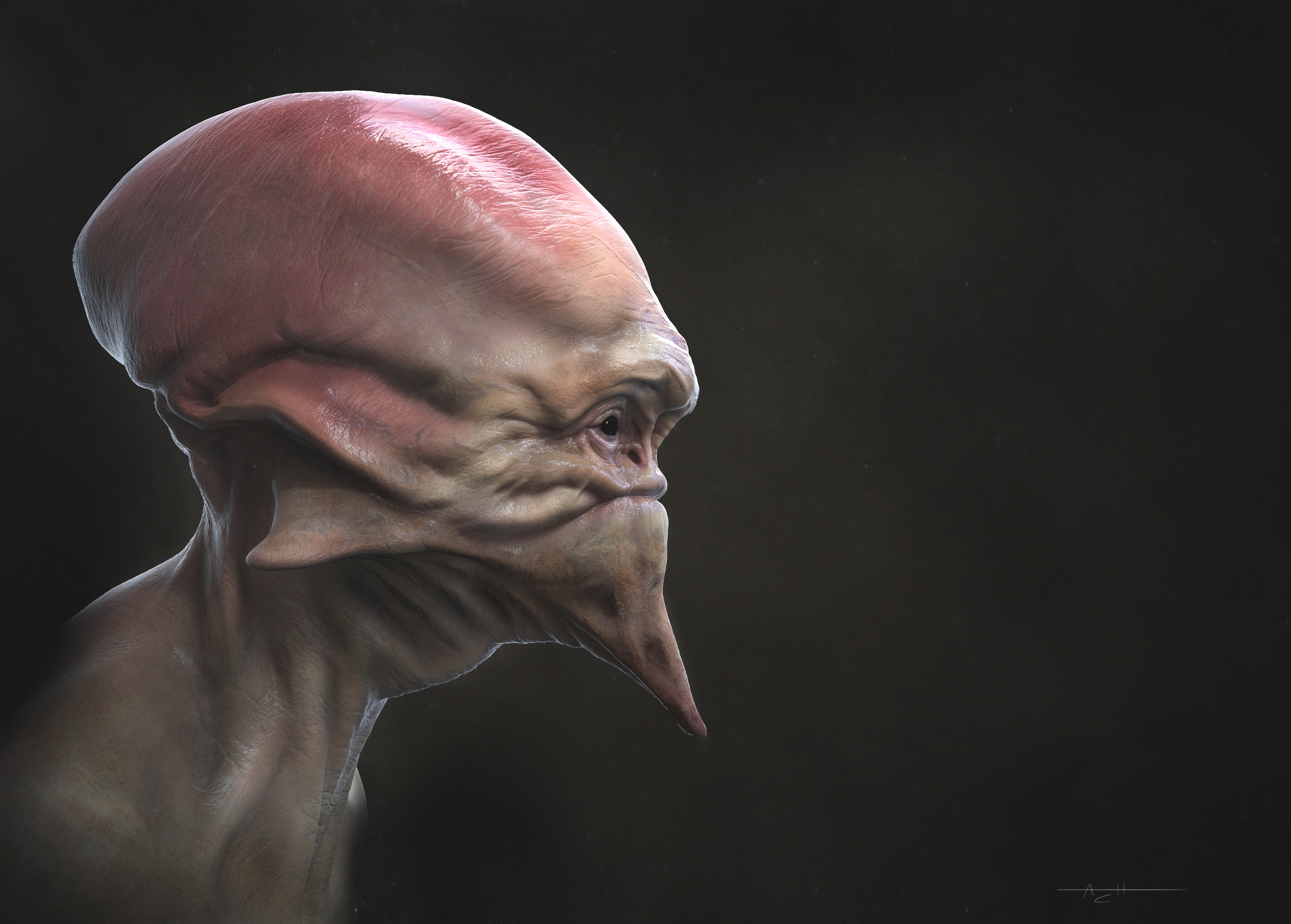 Final render.