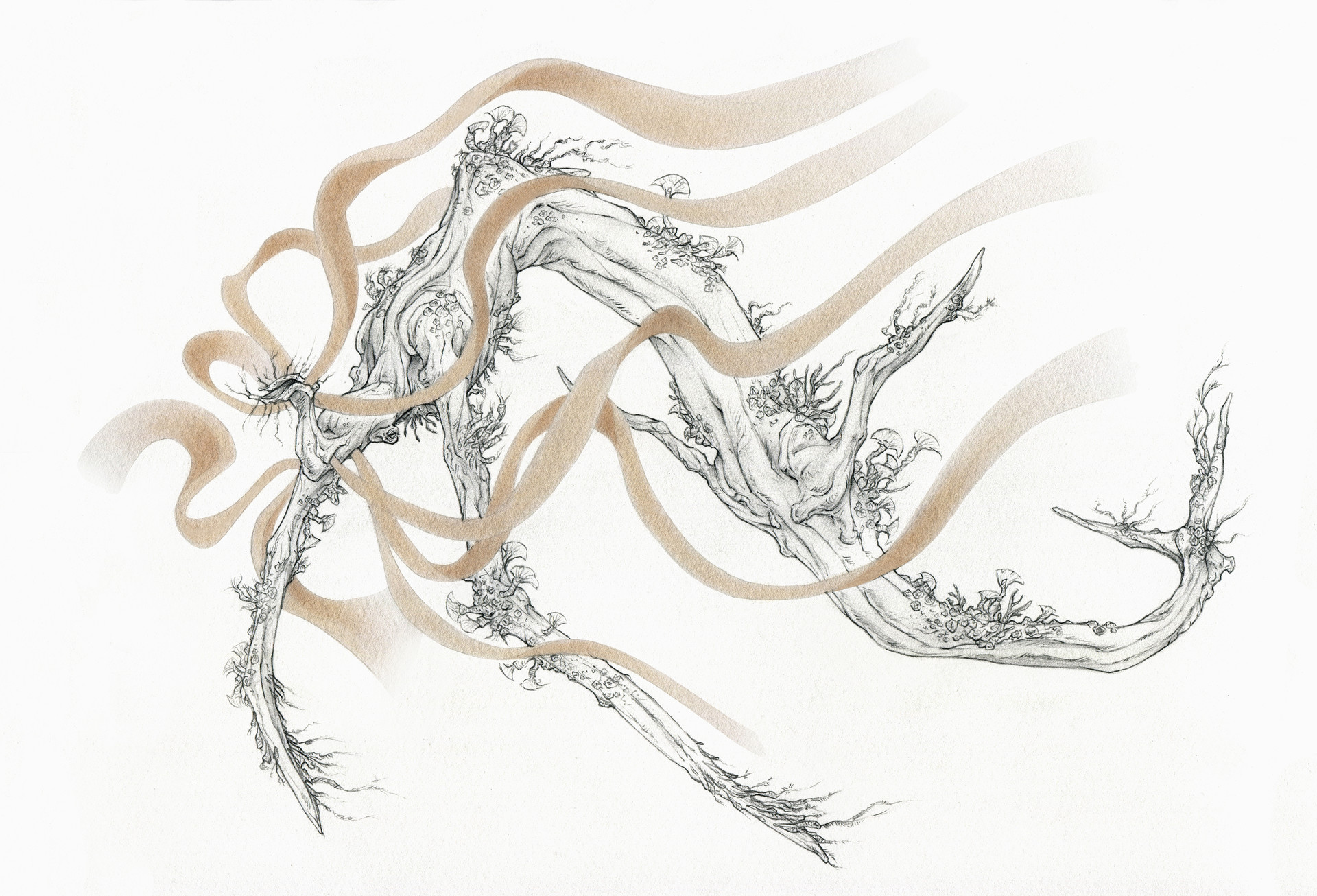Artstation Graphite Magazine Issue 04 Cetacean Creature