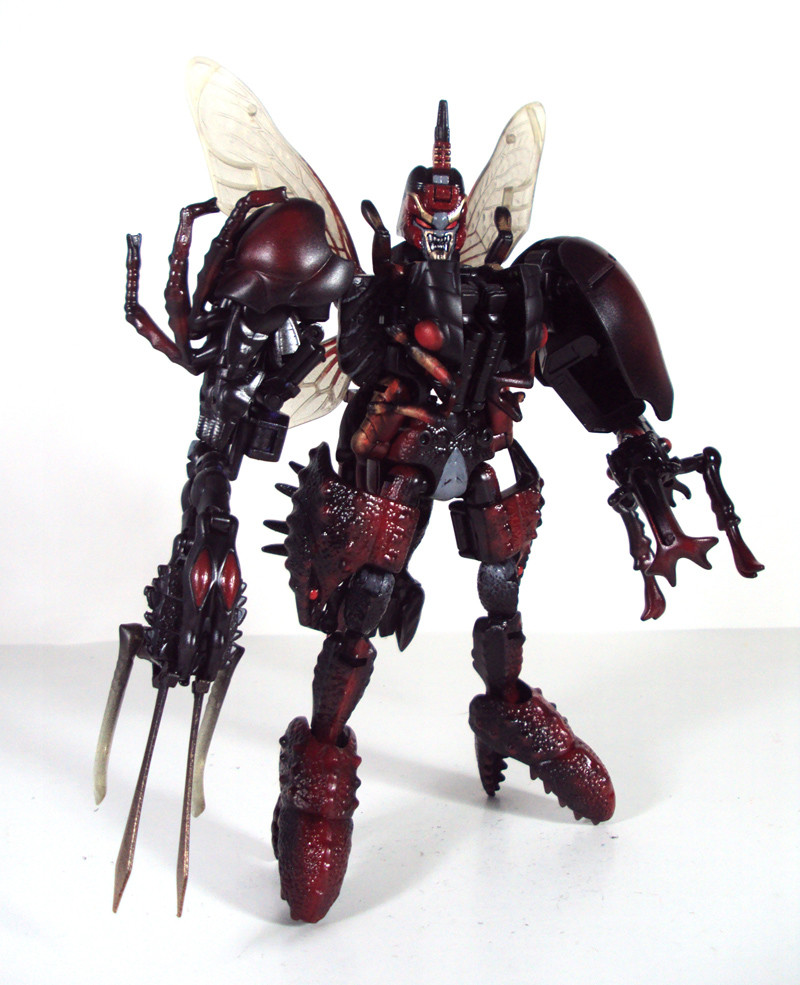 tripredacus toy