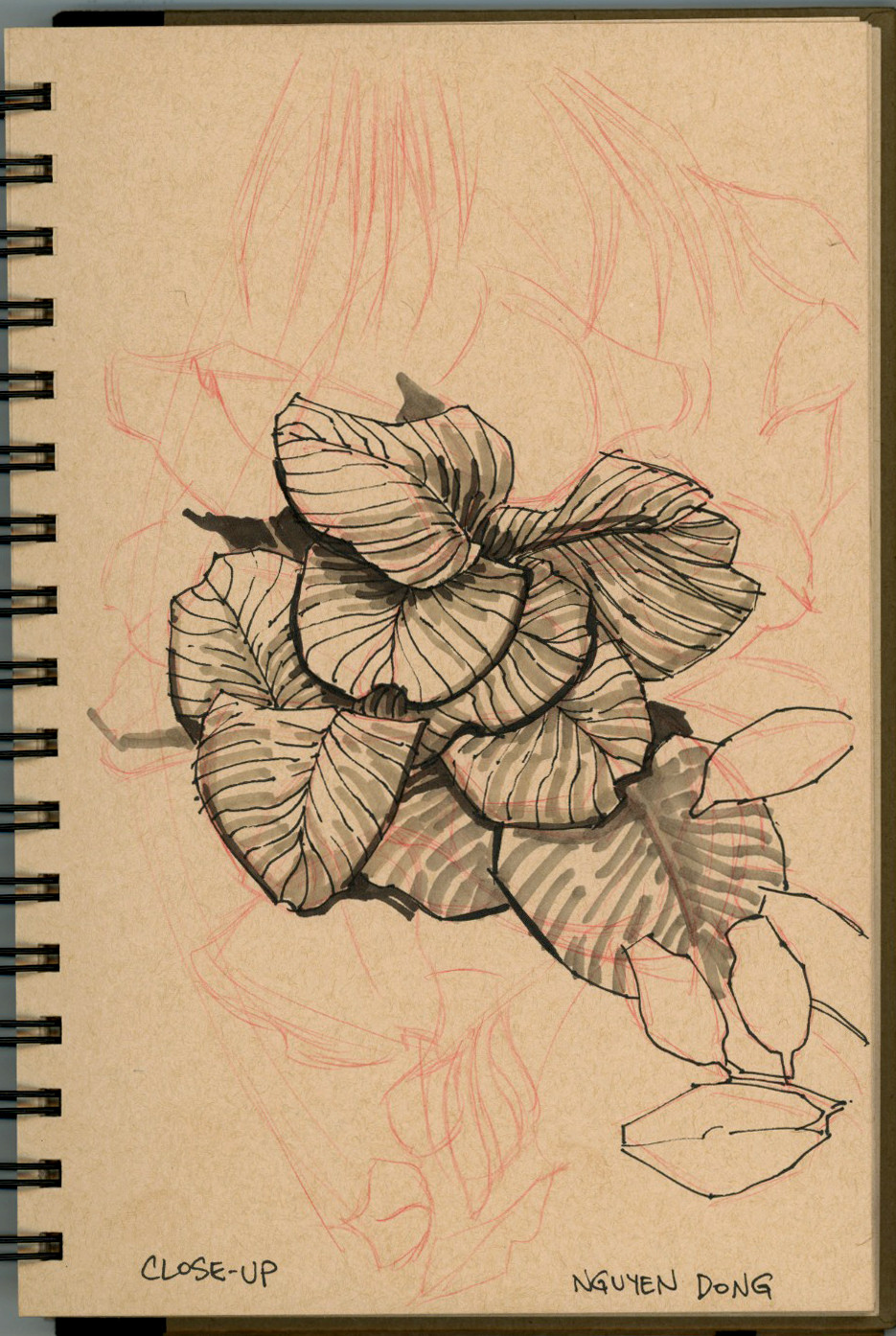Huntington Botanical Gardens - Chinese Garden field sketch