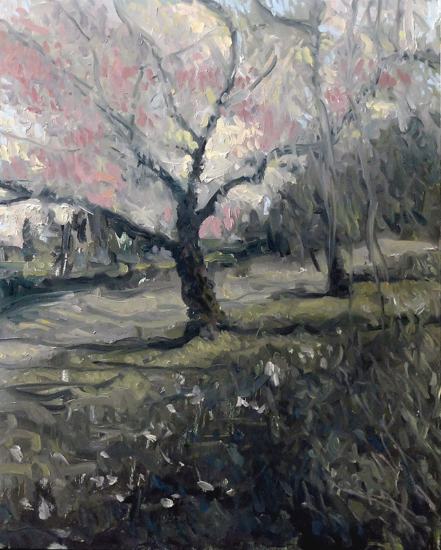 Gilles Beloeil Portfolio Spring In Central Park