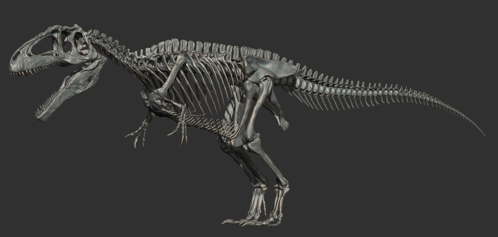 Vitamin Imagination - Giganotosaurus skeleton