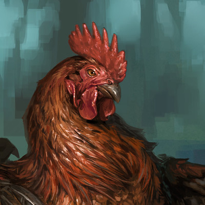 Taran fiddler rooster2