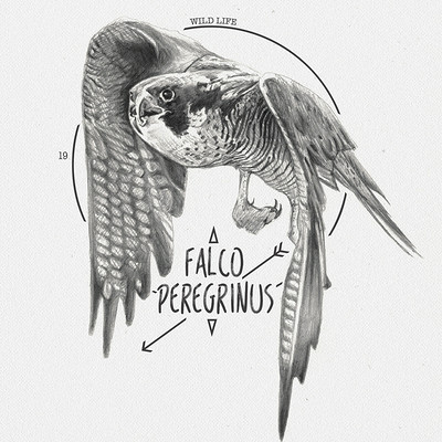 Miguel sastre falcon