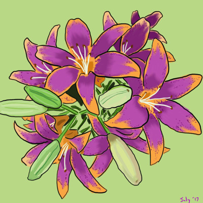 Richard yaure lily