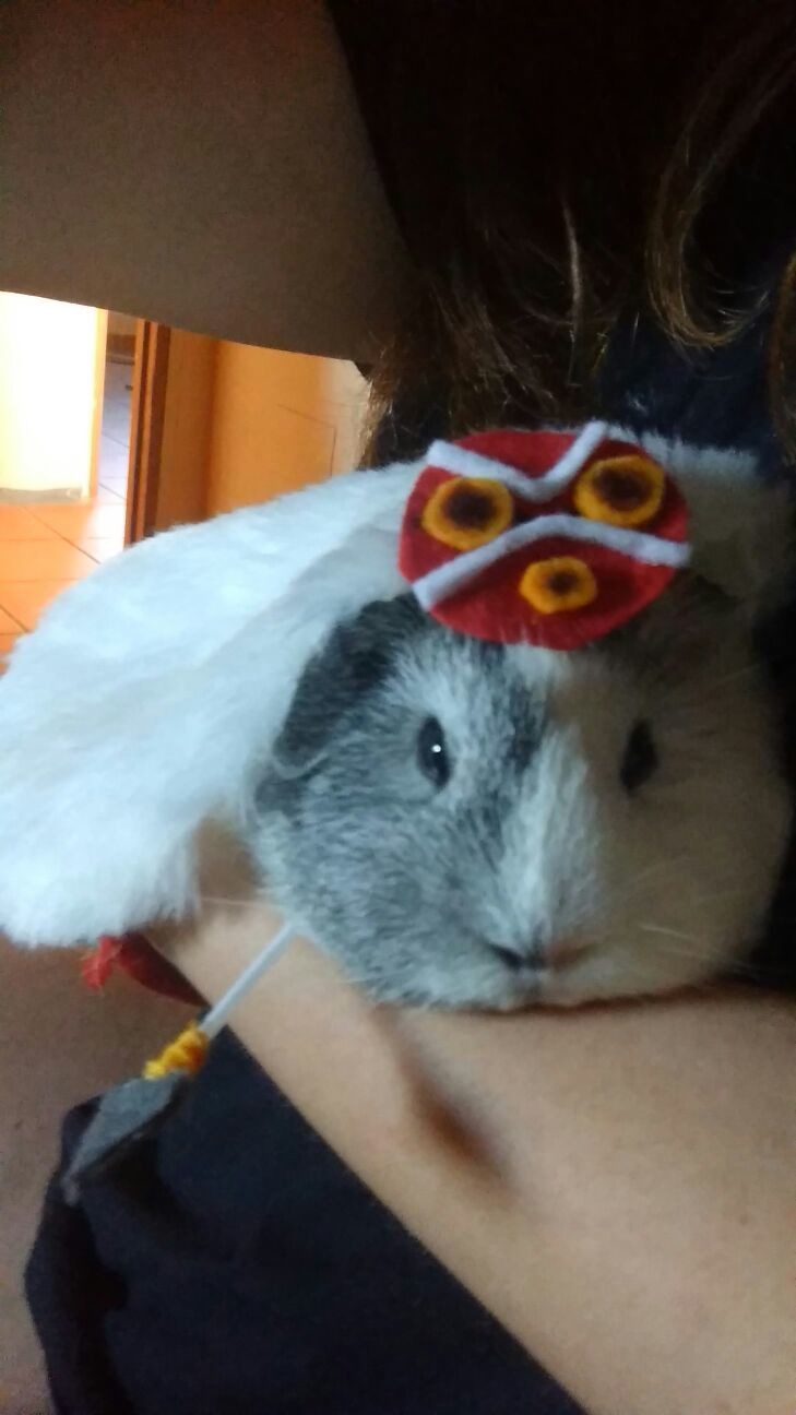 Wallpaper Artstation Cosplay Para Cobaya De La Princesa Mononoke Guinea For Android