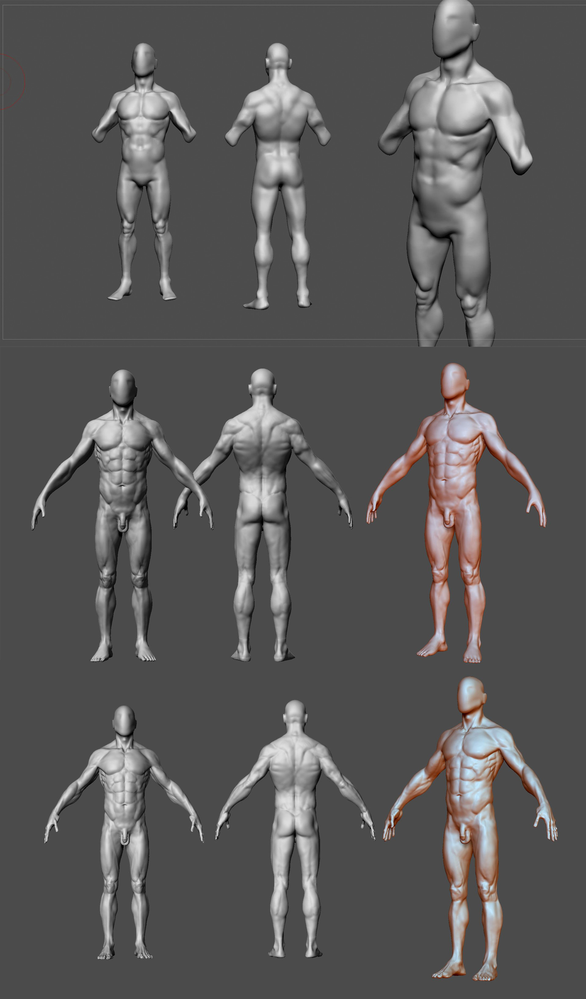 artstation-anatomy-studies-h-ctor-sanz-dors