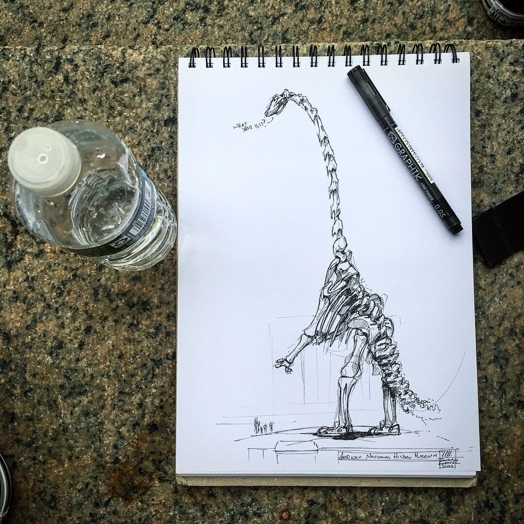 American Museum of Natural History, NYC.