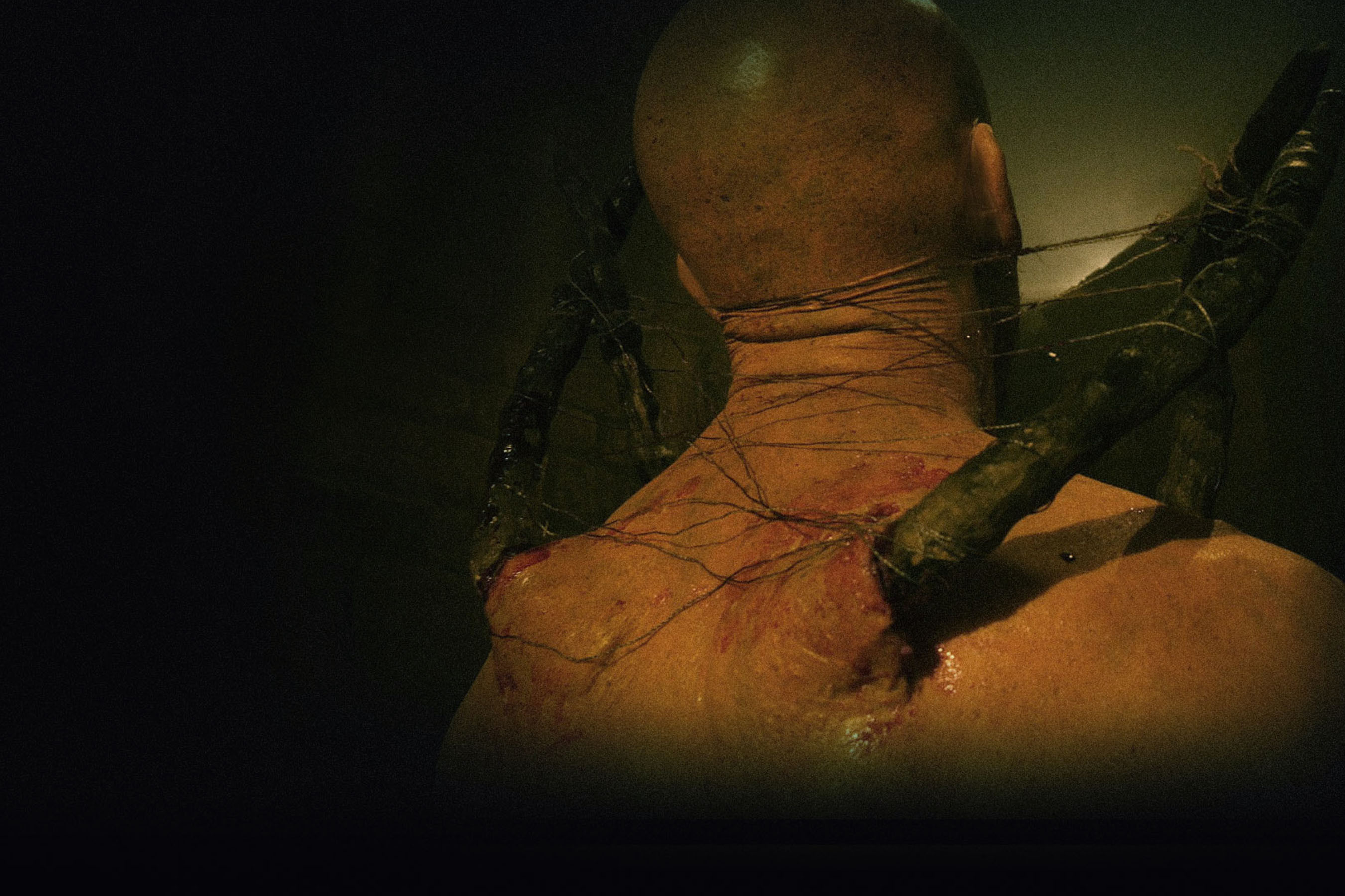 SHORT : STILLS