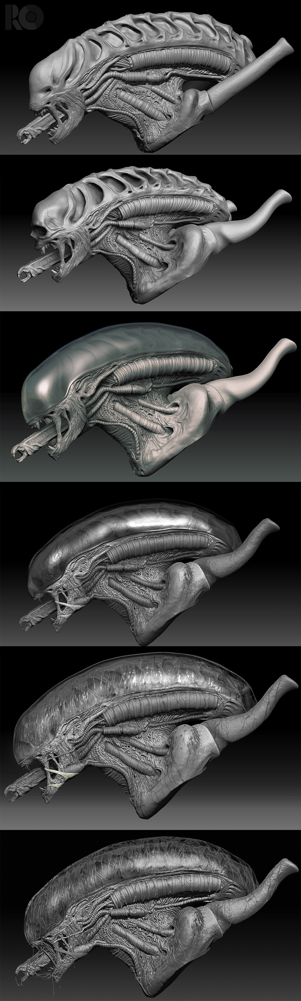 ArtStation - ALIEN : Xenomorph head, image size:1000x3320