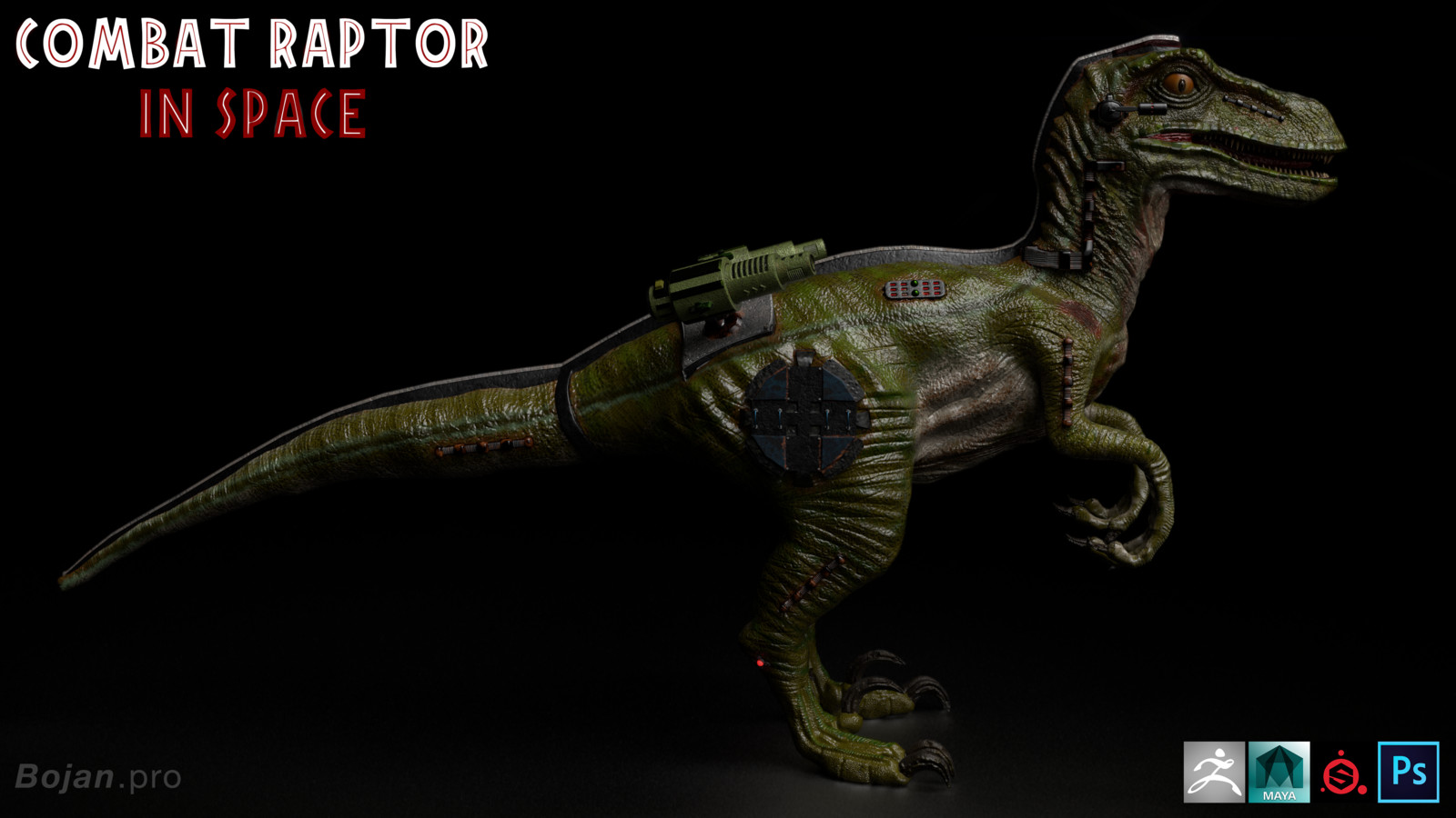 Combat Raptor