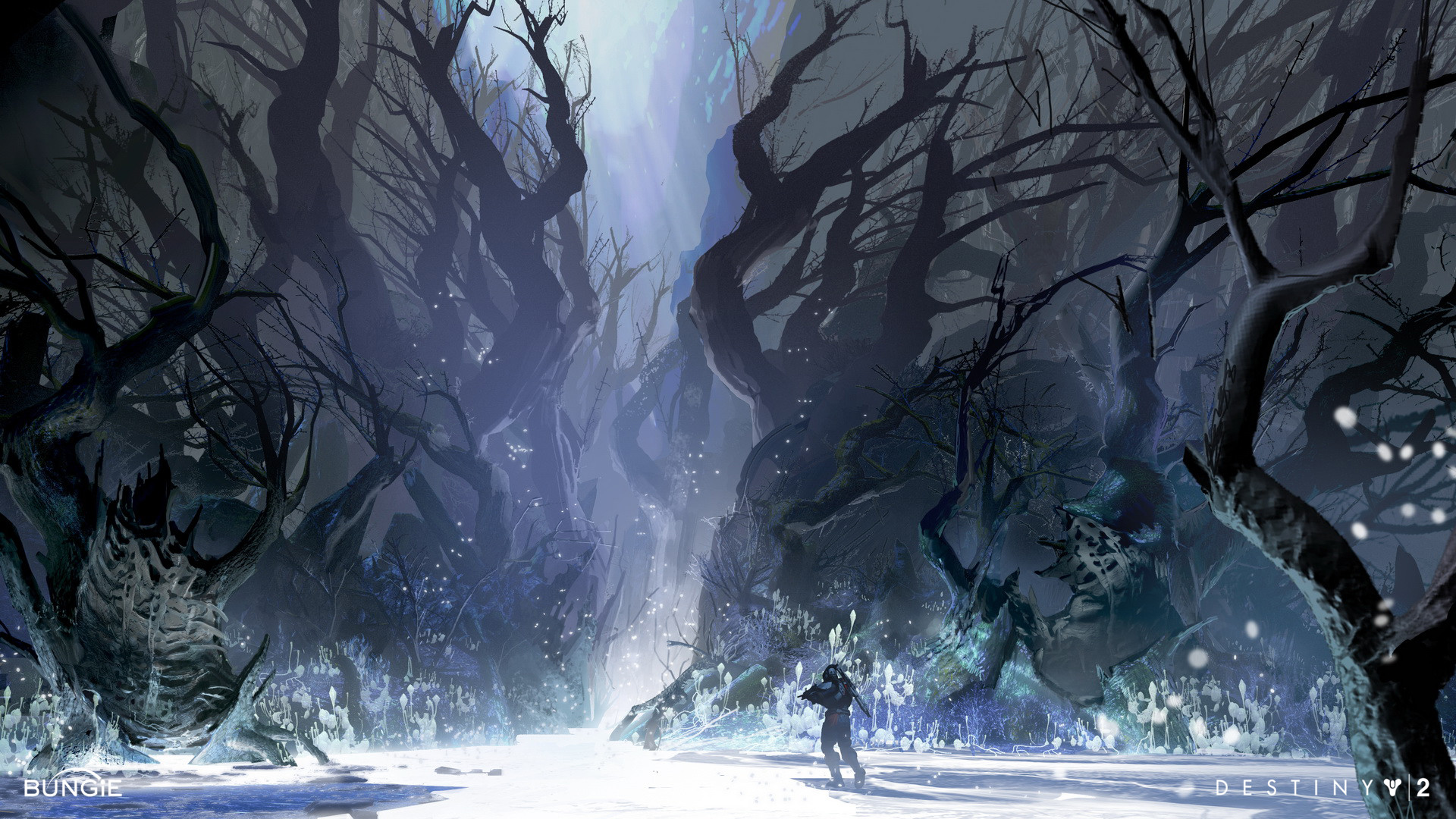 Artstation Destiny 2 Dark Forest Dorje Bellbrook
