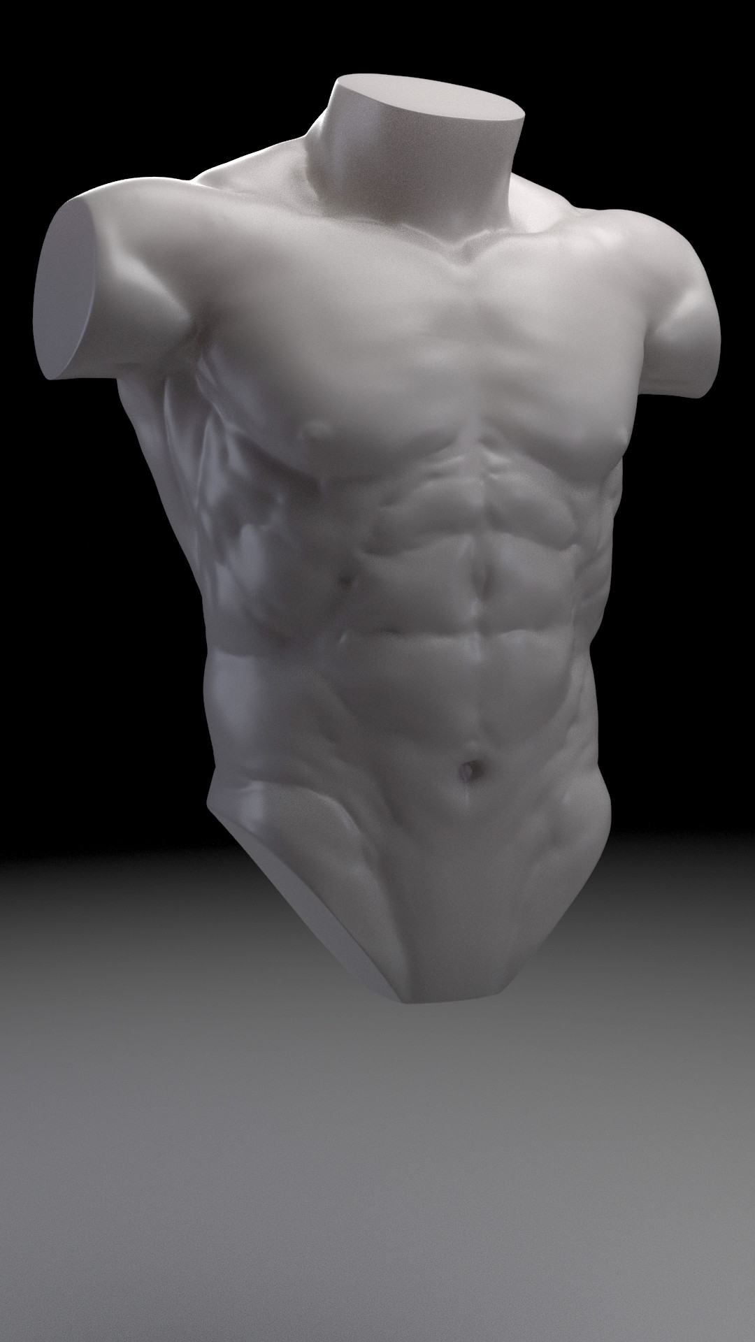 torso anatomy for artists