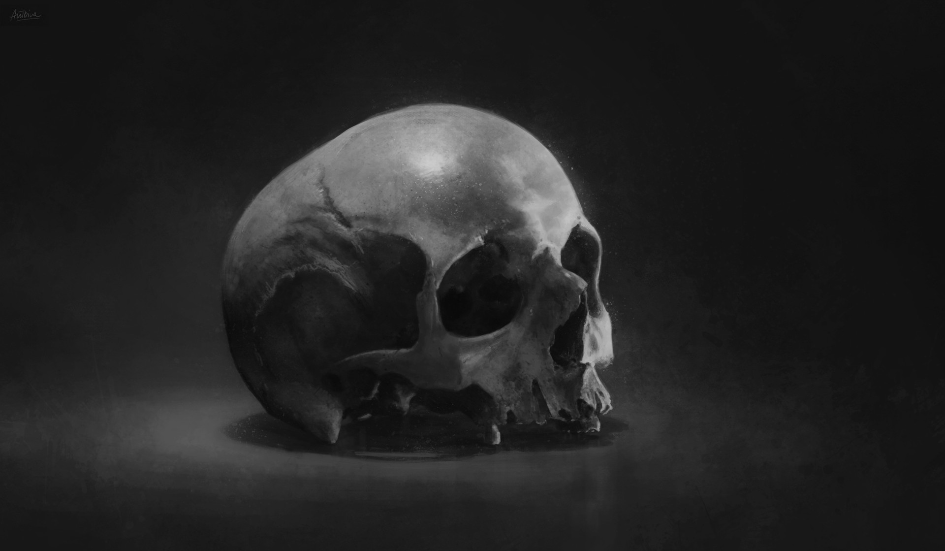Artstation Skulls Antonio Dell Aquila