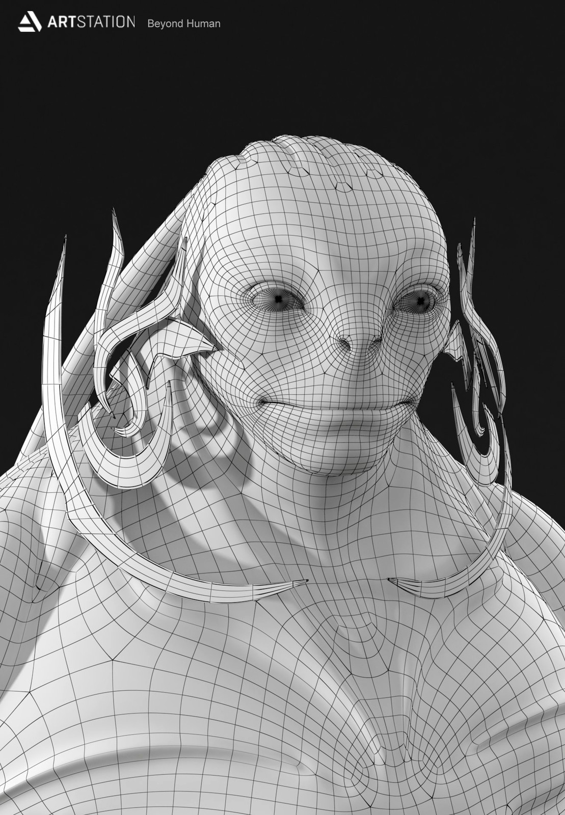 Wireframe Close Up
