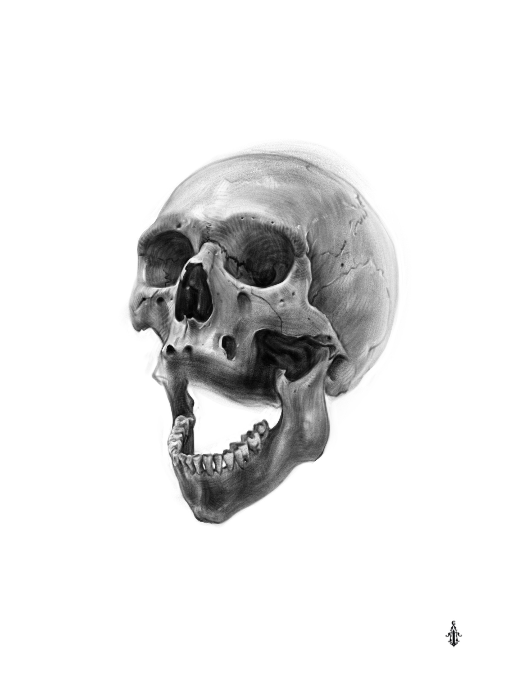 Procreate art Draw a human skull.