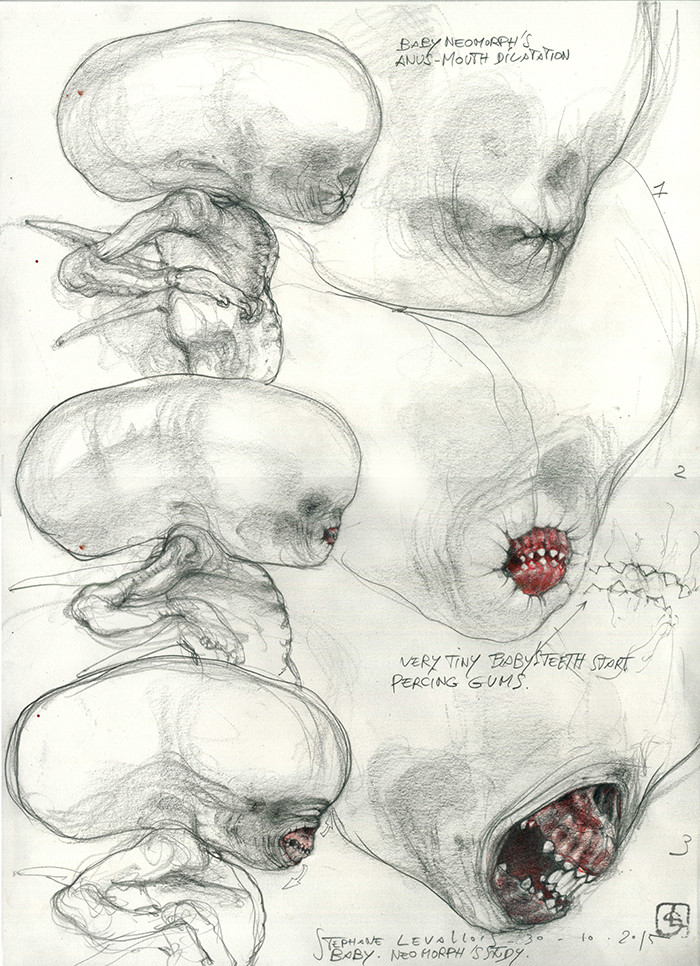 my idea of the anus-mouth for the baby noemorph...