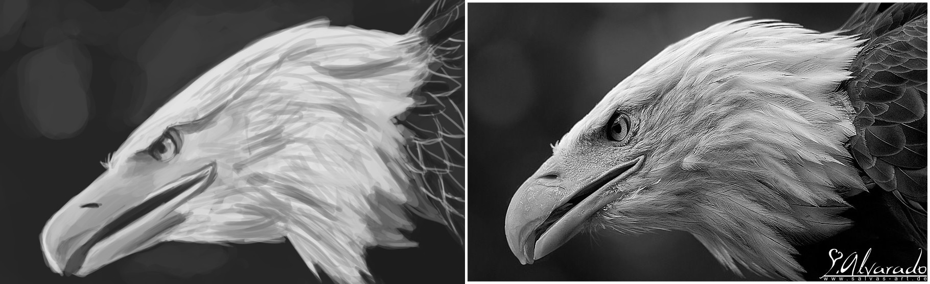 Artstation Animals Painting Practice Leonardo De Oliveira Leite