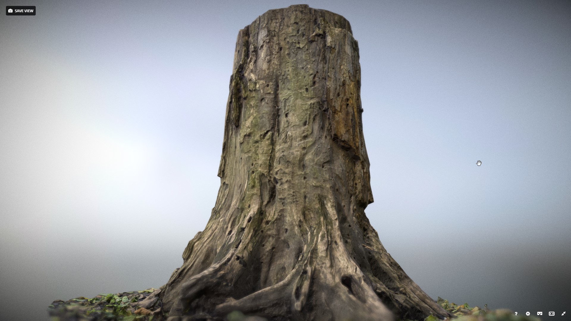 Artstation Tree Stump 3 Yegor Tsyba