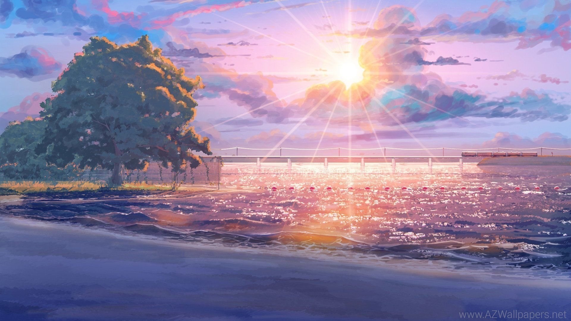 Daichi Aki Summer Sunset