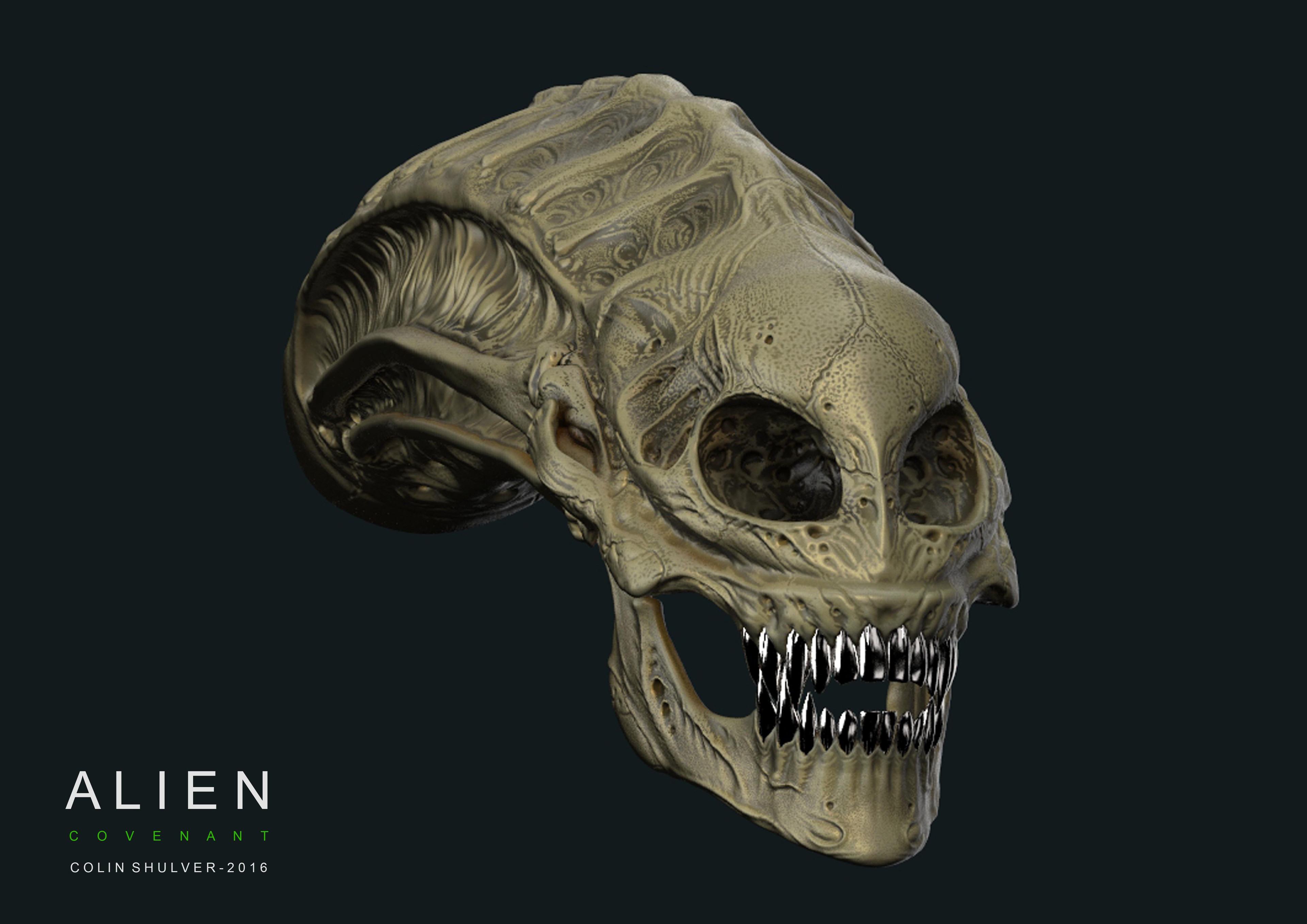 Artstation Alien Covenant Protomorph Skull Colin Shulver