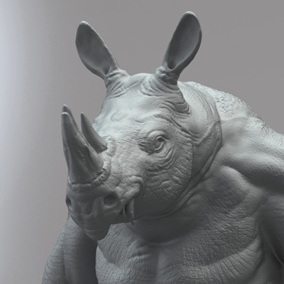 Moise hammouda rinoposing01