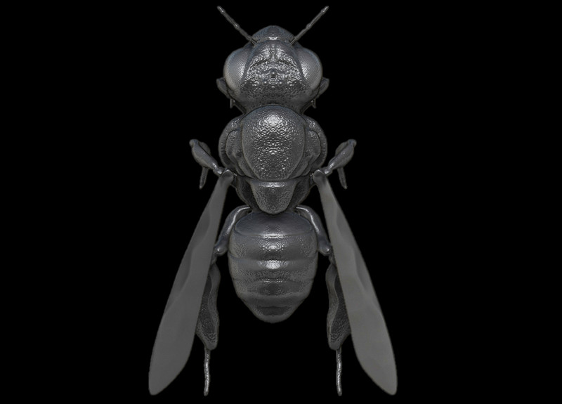 ArtStation Alberto Sagastegui