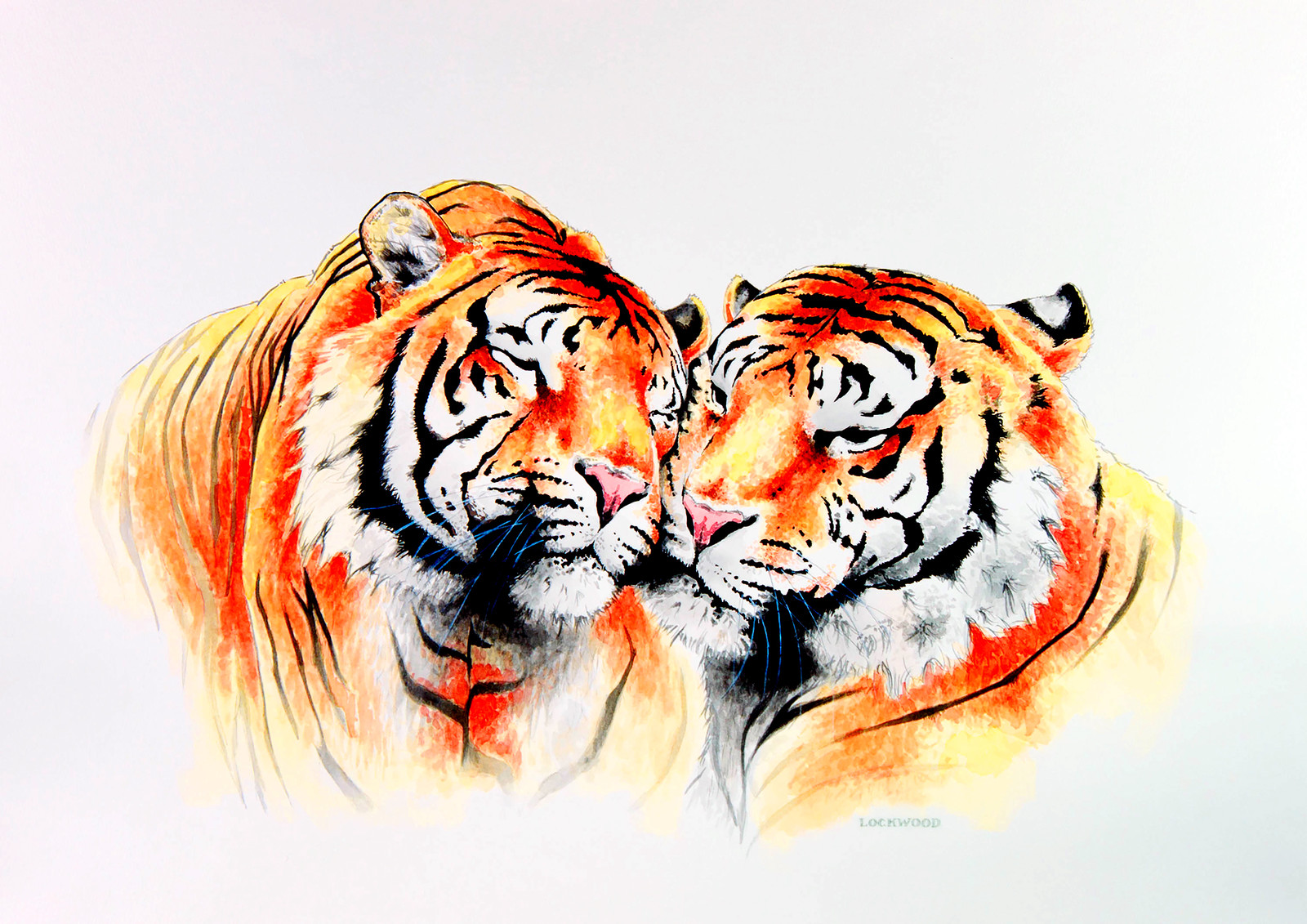 Tiger Duo
20x30"