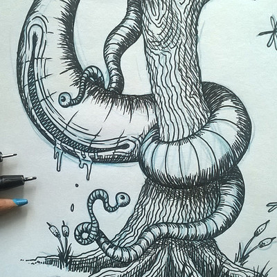 Raul pina vicente 4 smile