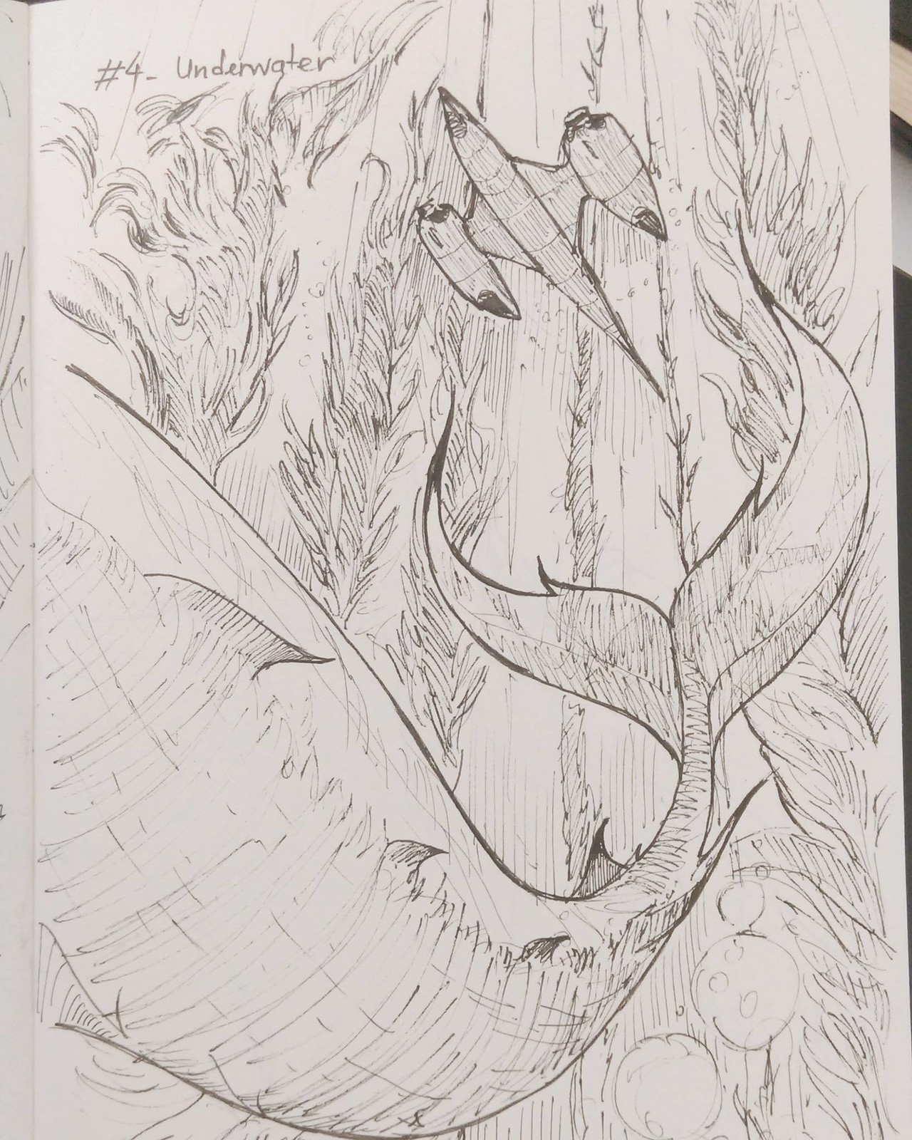 4 - Underwater