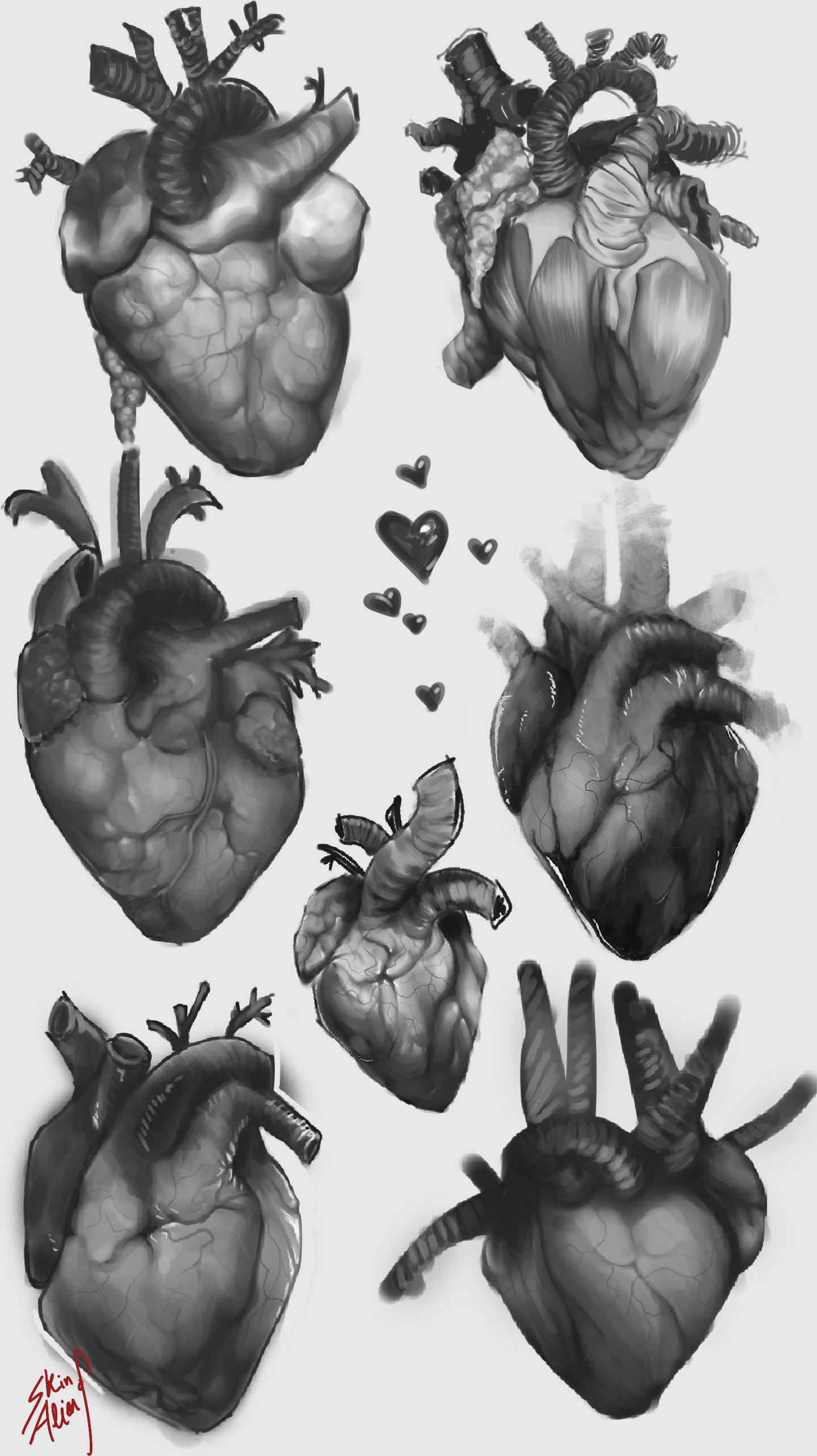 Skin Of Alien Heart And Nose Study