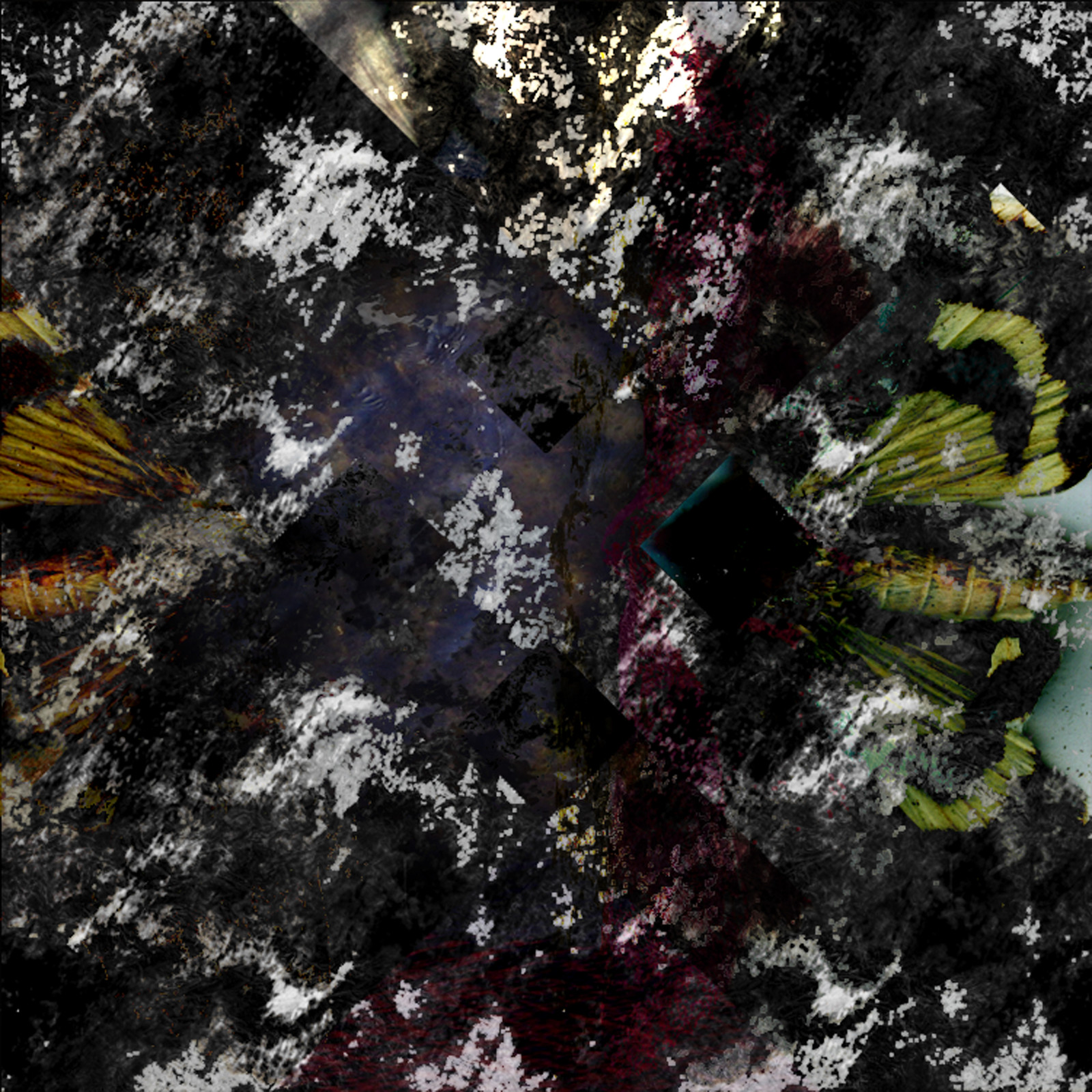 Echo Narcissus, Moth Confronts Moth