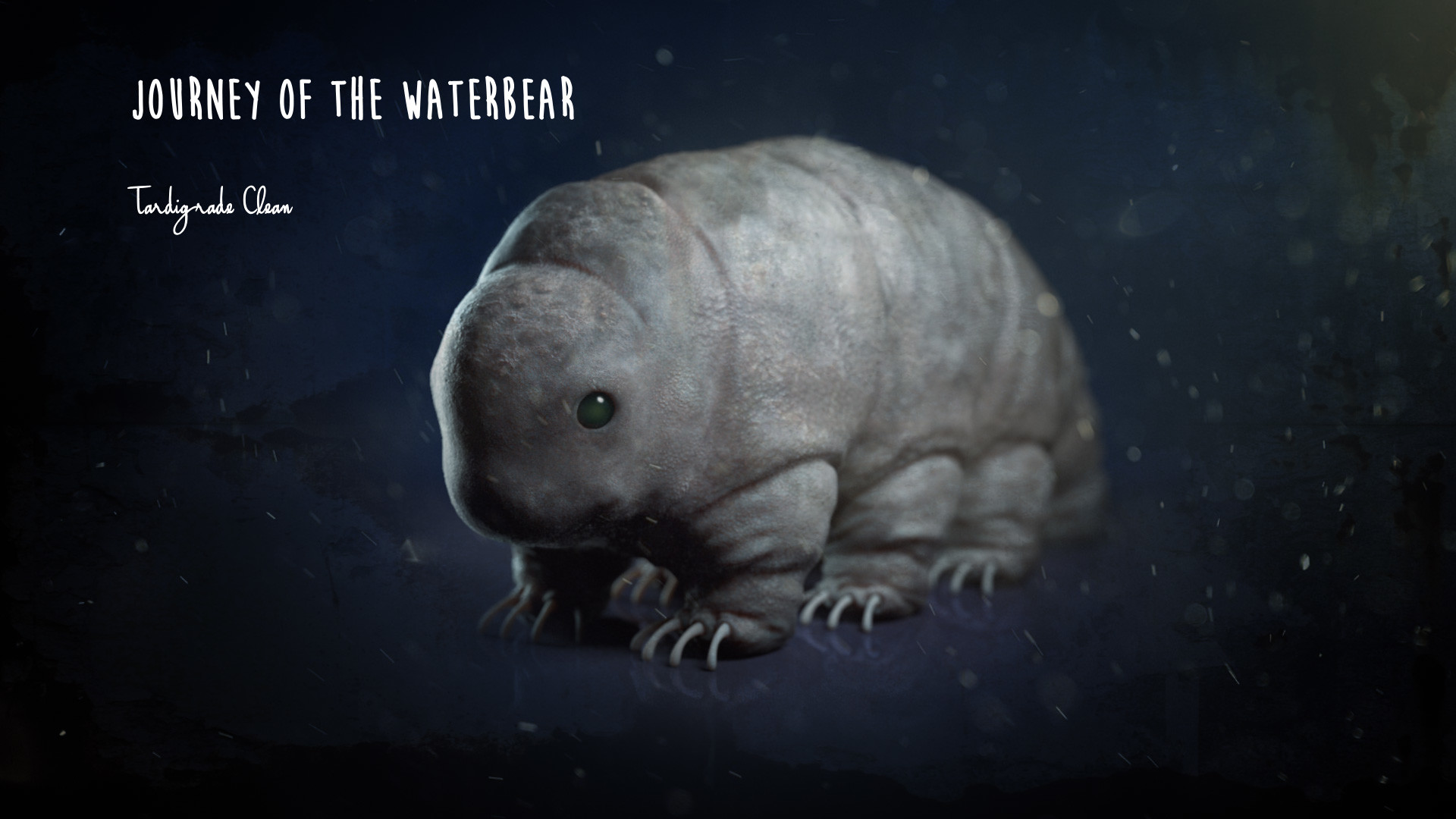 Why Every Picture of a Tardigrade You See Is Probably Lying to You