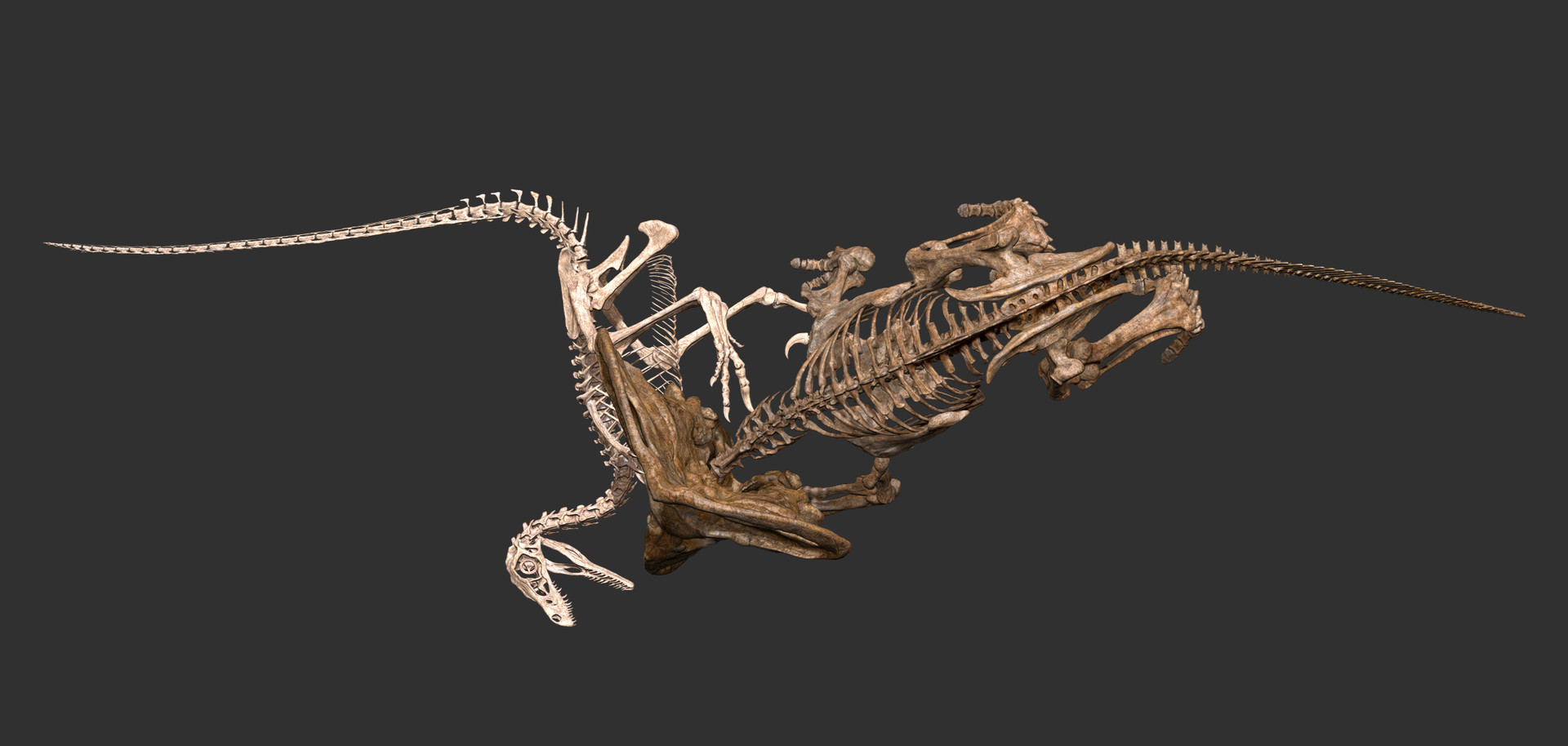 Dinosaur Skeleton Leggings - POPRAGEOUS