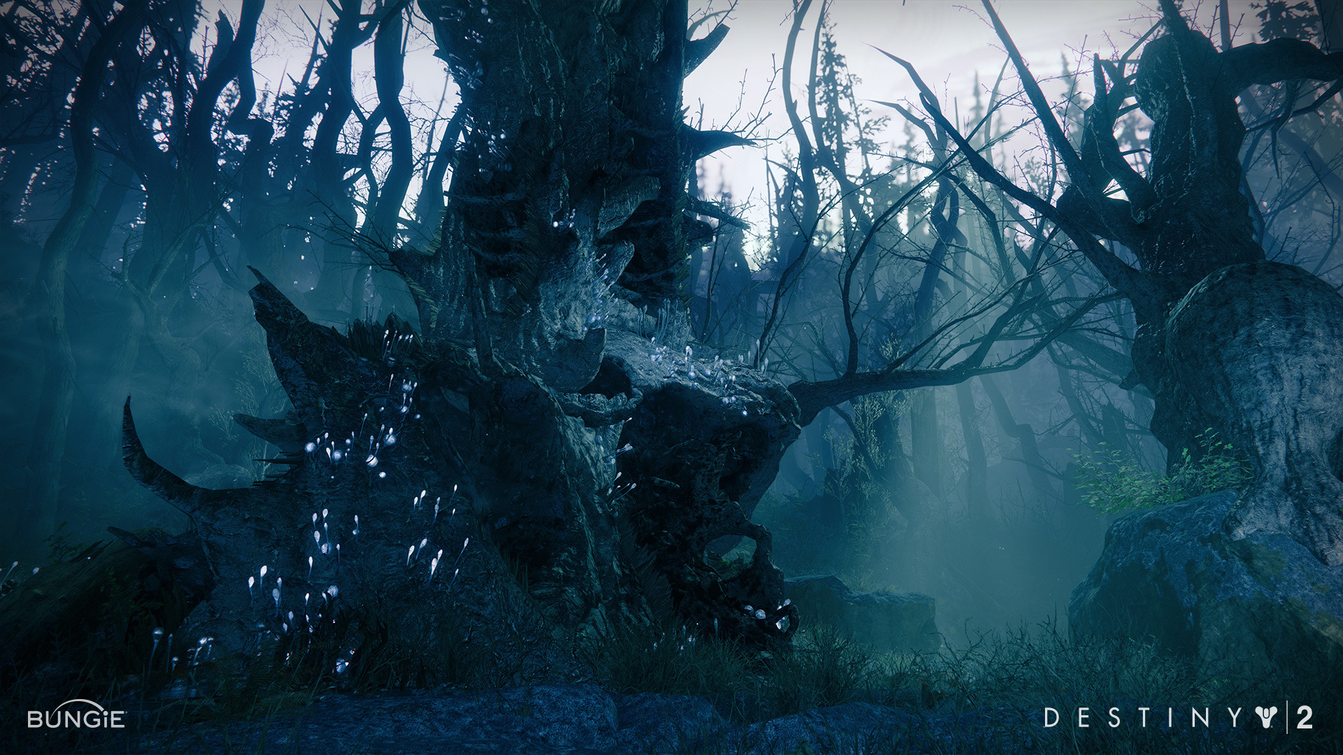 Artstation Destiny 2 Edz Dark Forest Assets Steven Klipowicz