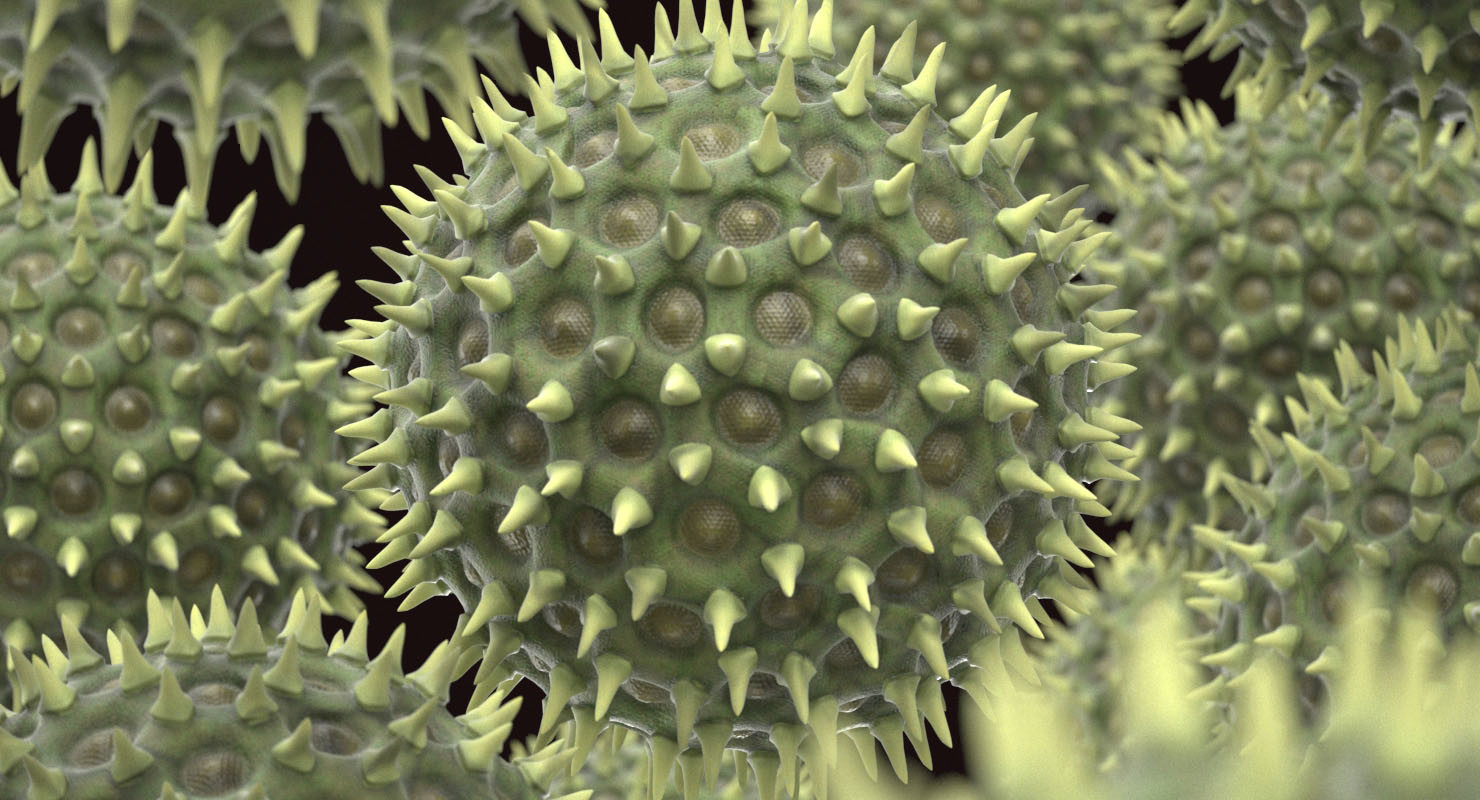 Pollen Particles in Color