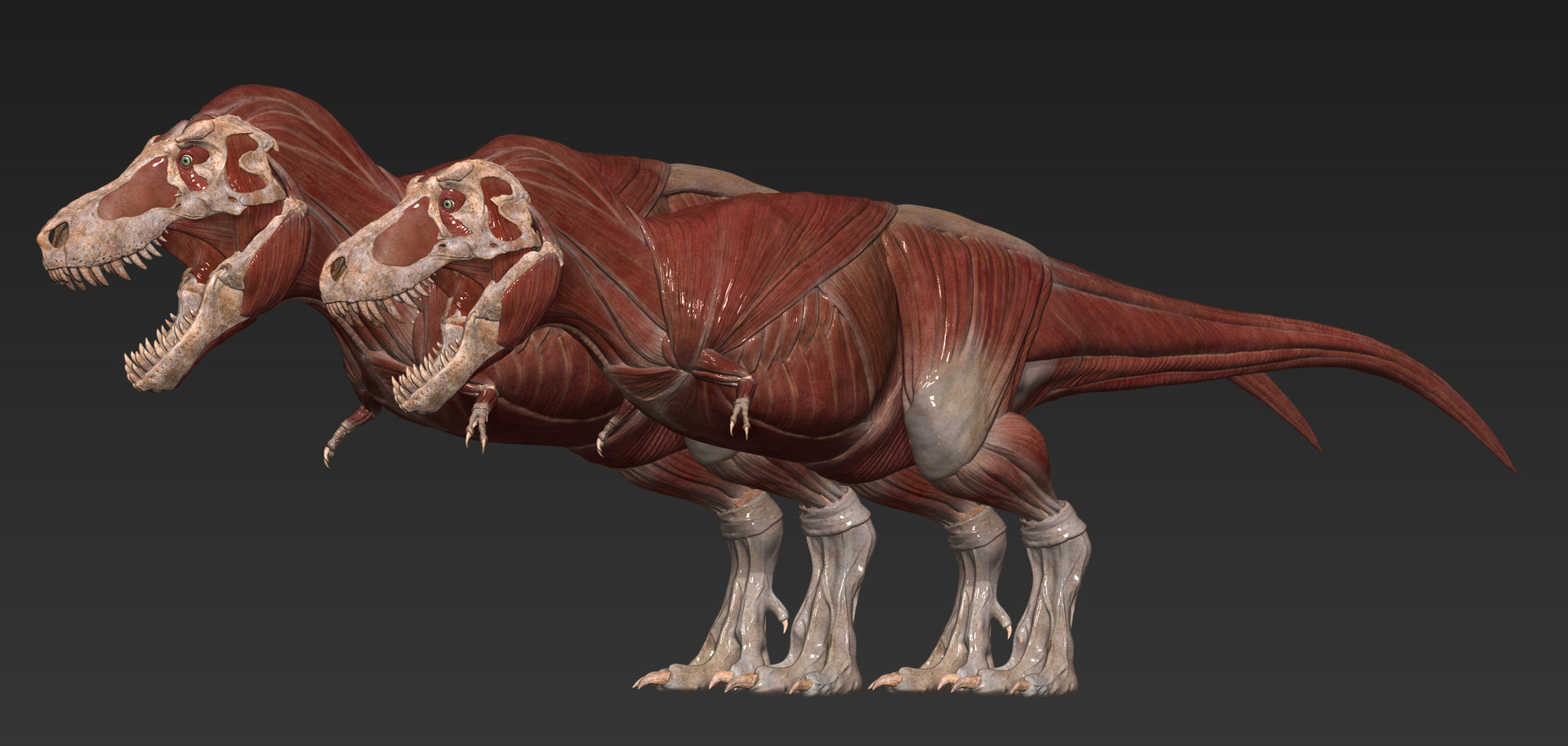 Vitamin Imagination - Tyrannosaurus Rex skeleton [SUE / STAN] by