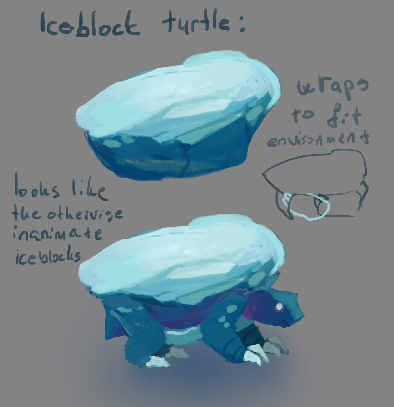Iceblock turtle. Some of the rocky things are alive!
