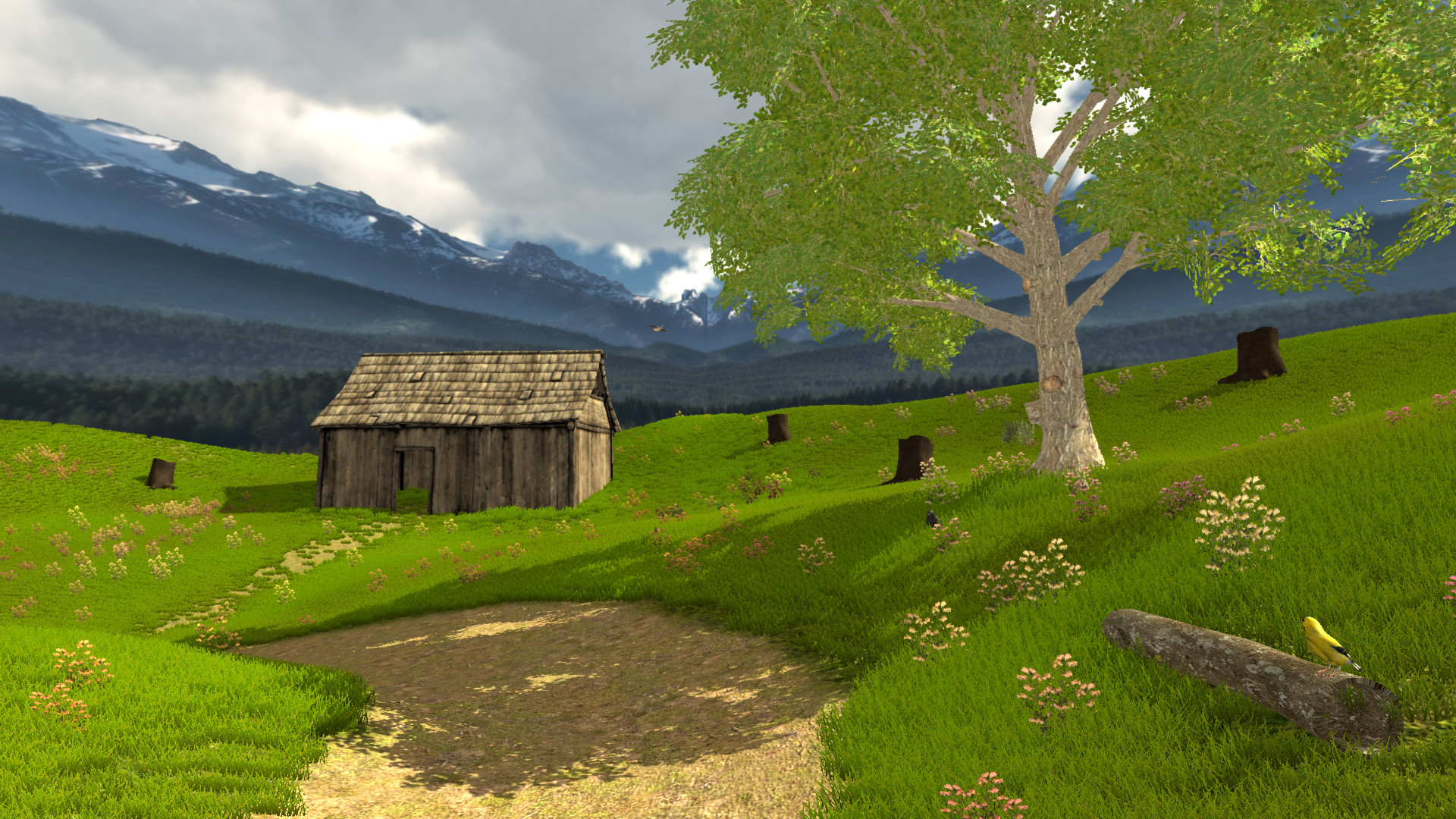 Justin Thrailkill - Grasslands level for bird call game in Unity