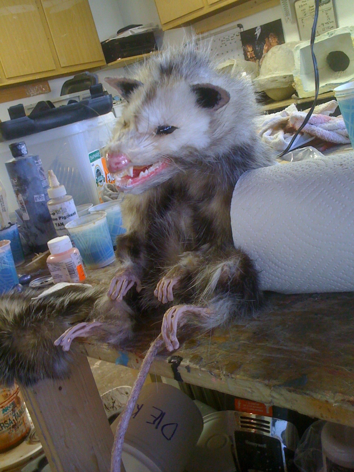 Fabricated Opossum Prop