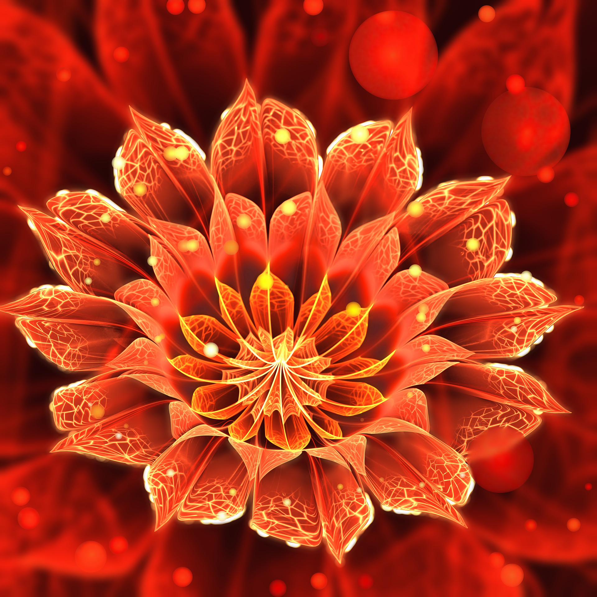 Artstation Bloom Of Fire A Beautiful Ruby Red Dahlia