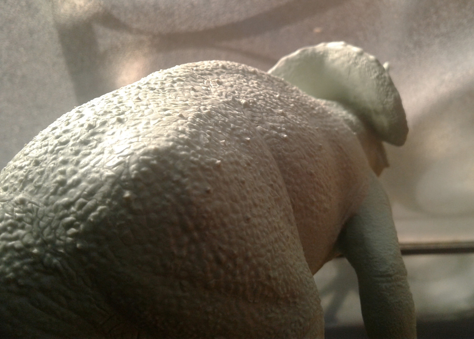 Texture detail in modeling phase.