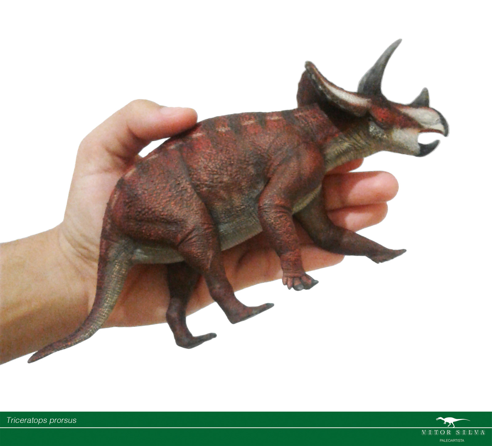 Size reference.