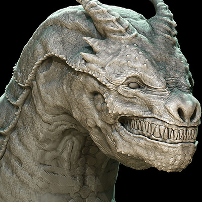 Takuto mizuno dragon